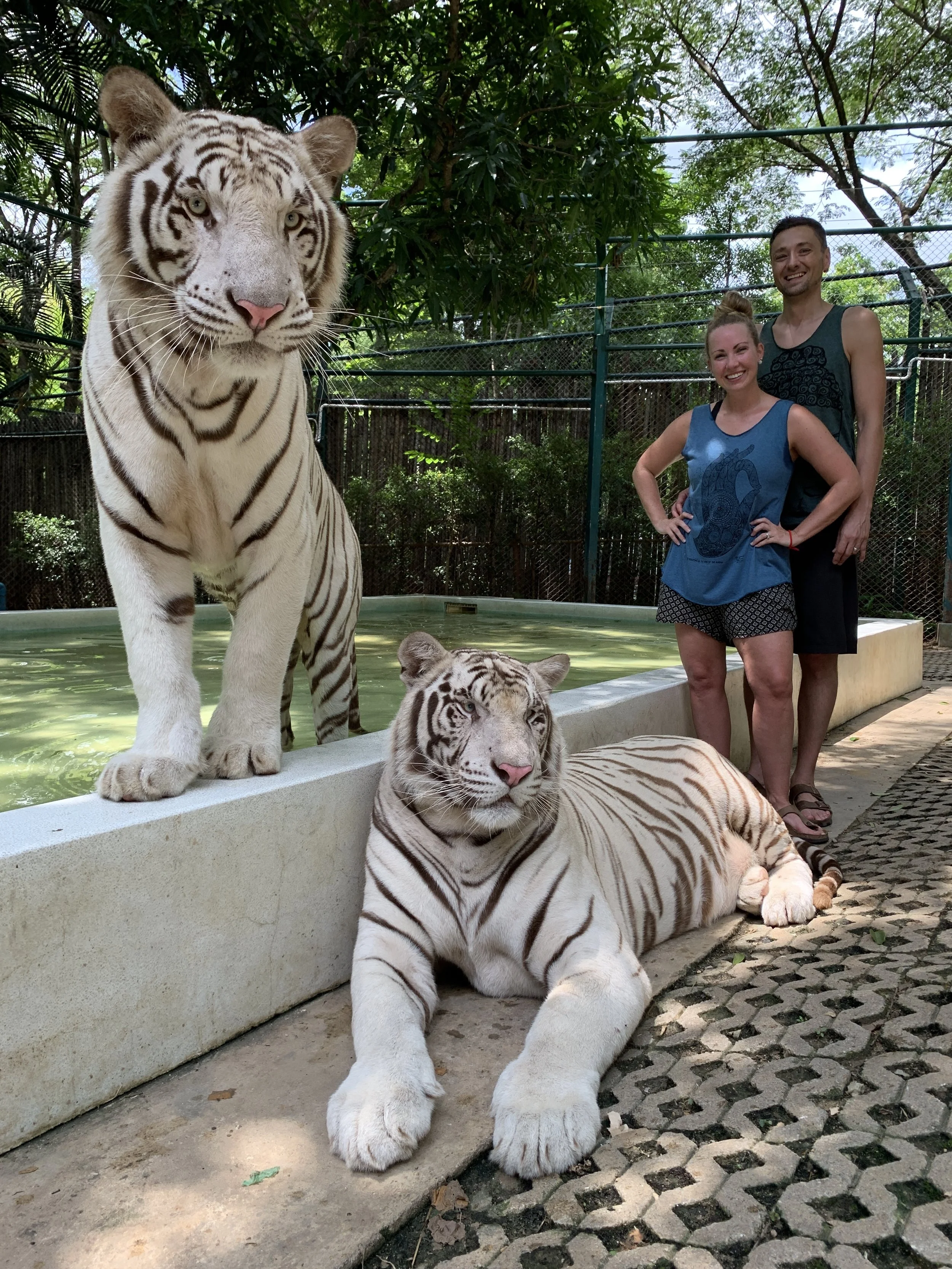 Tiger Kingdom - 1.JPG