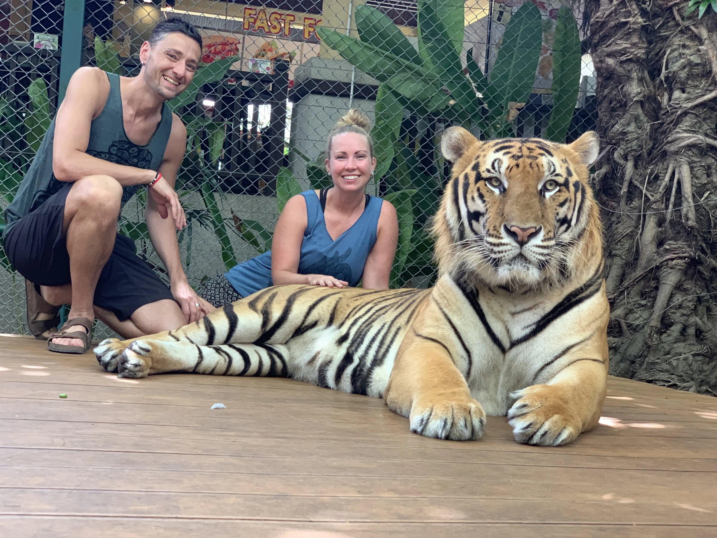 Tiger Kingdom - 192.JPG