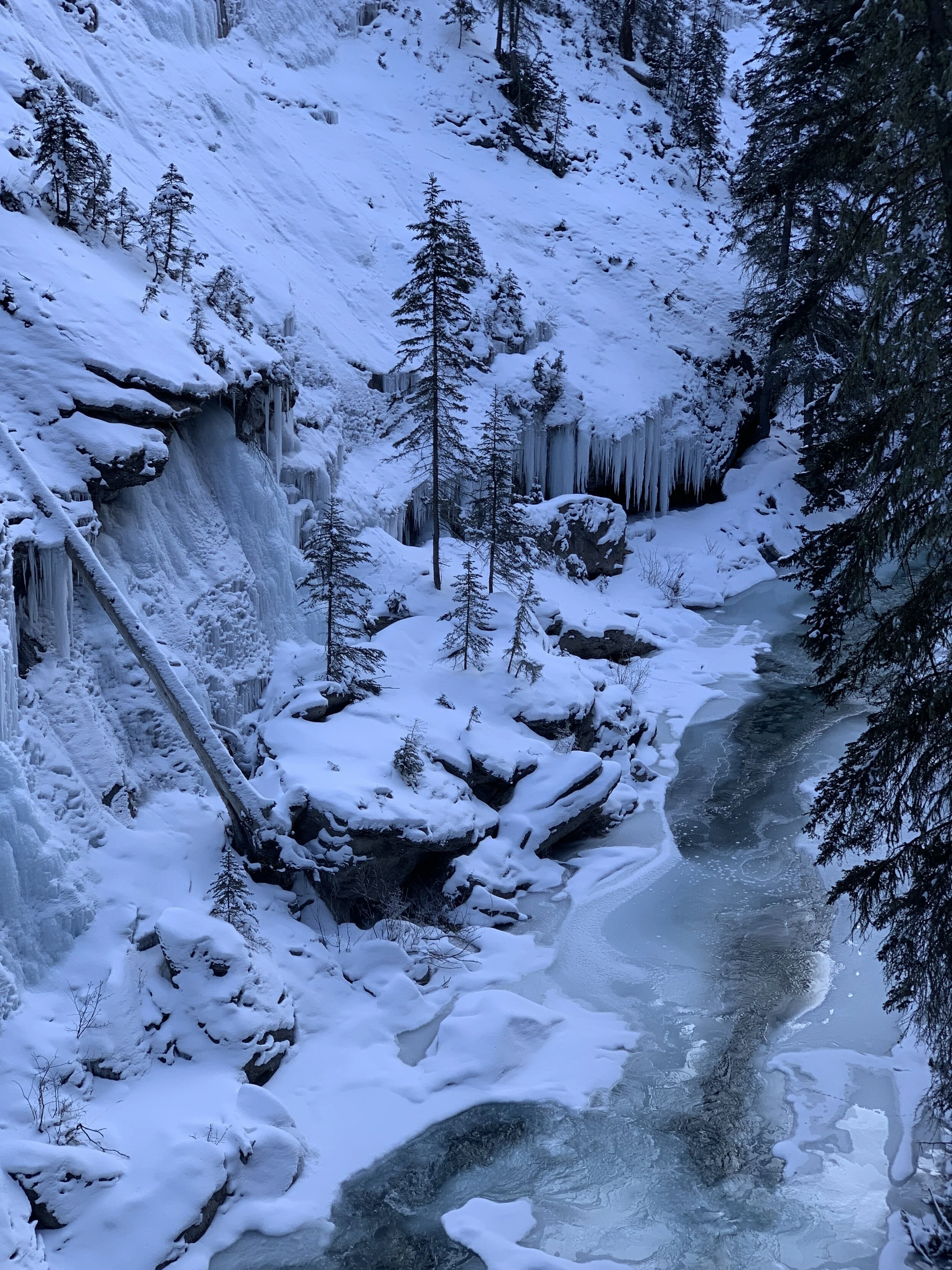 Johnston Canyon