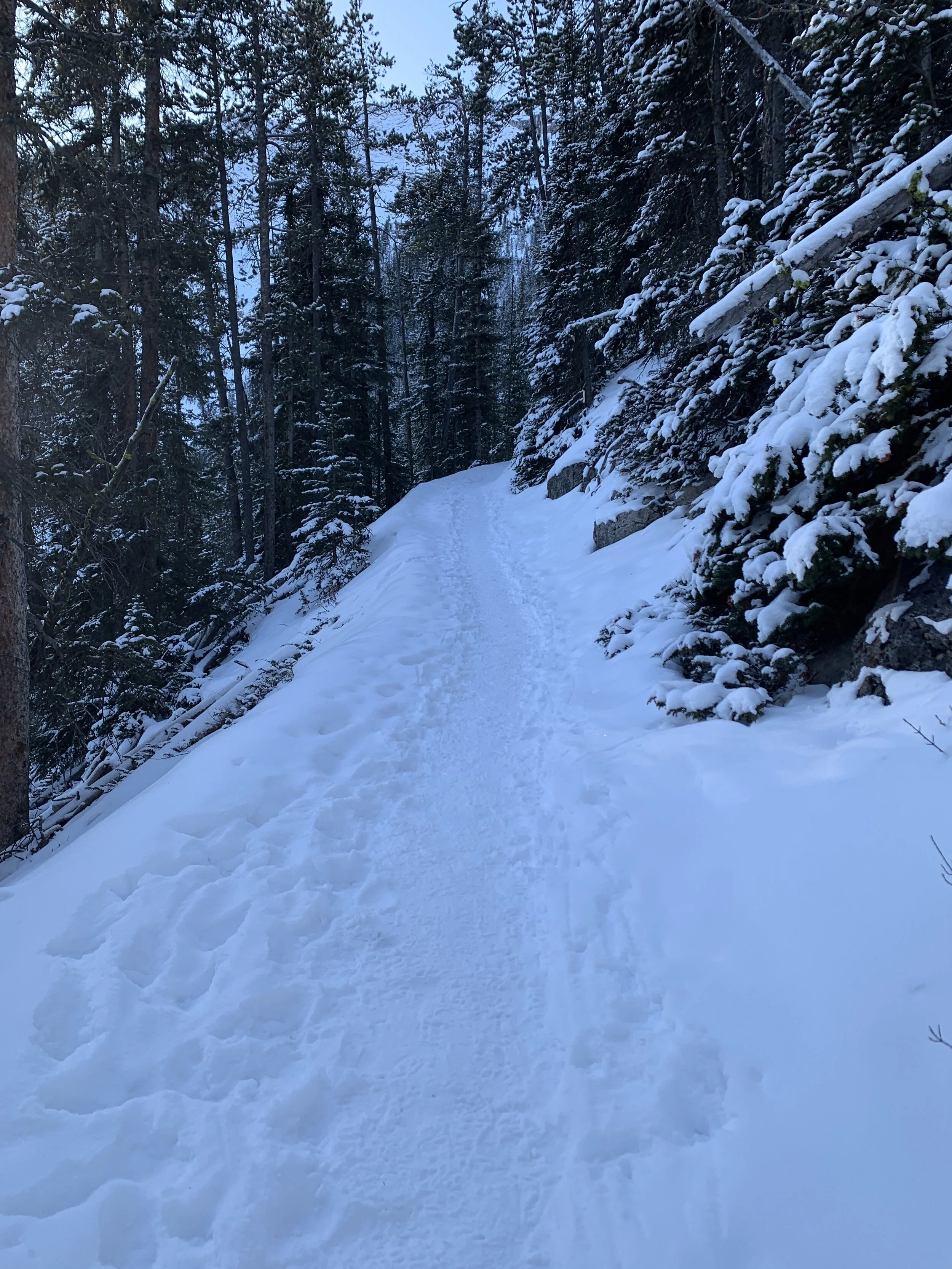 Banff in the Winter - 57.JPG