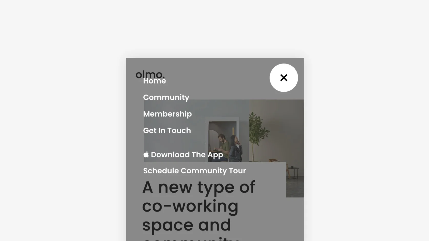 Circle Close Icon In Mobile Menu