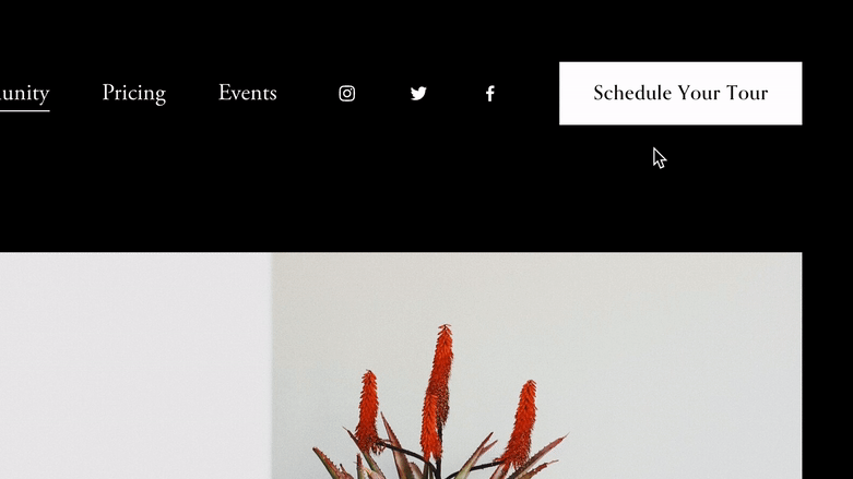 Shrinking Header Button On Hover — Ghost Plugins