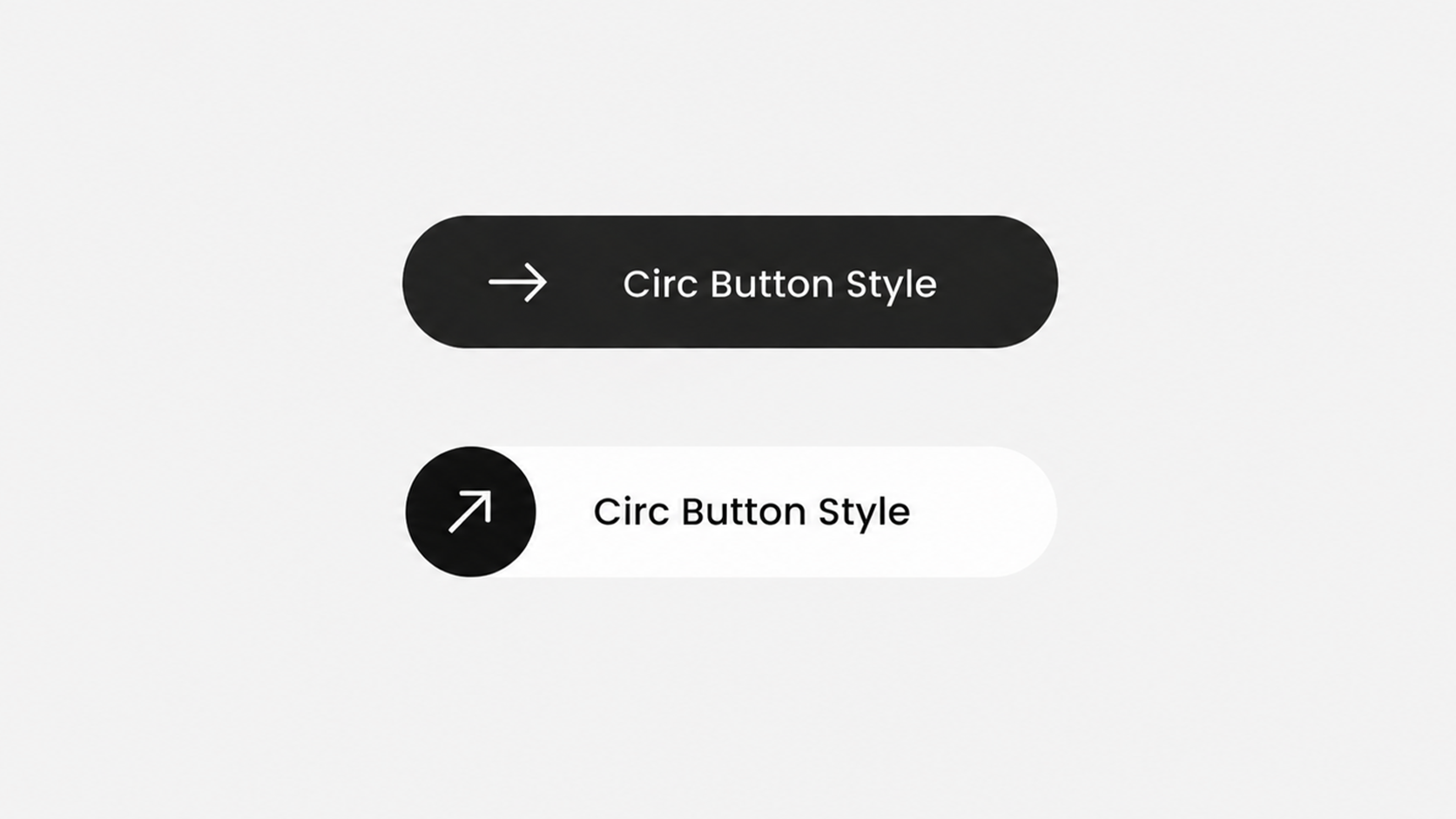 Circ Button Hover Style
