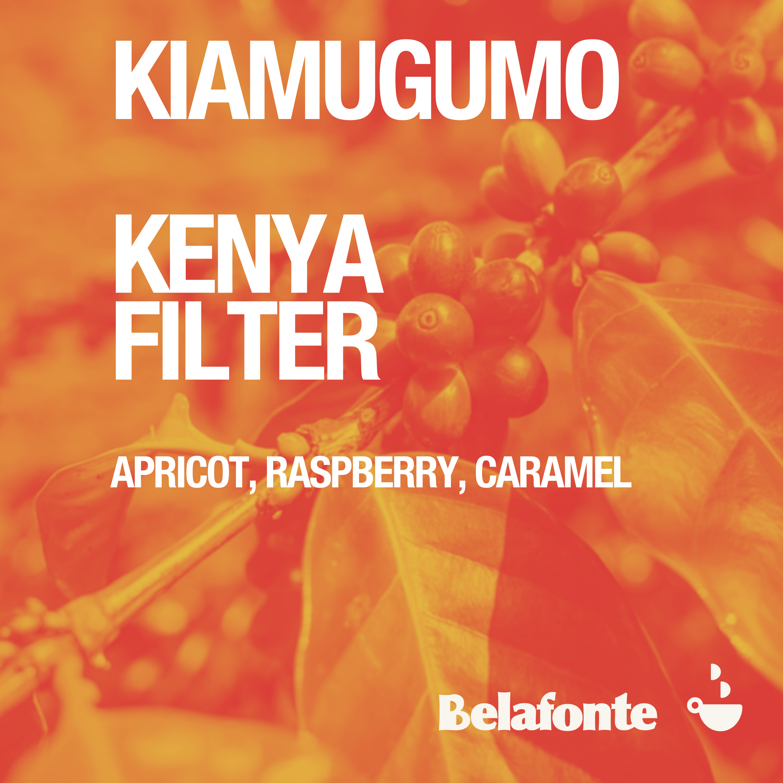 KIAMUGUMO (2).png