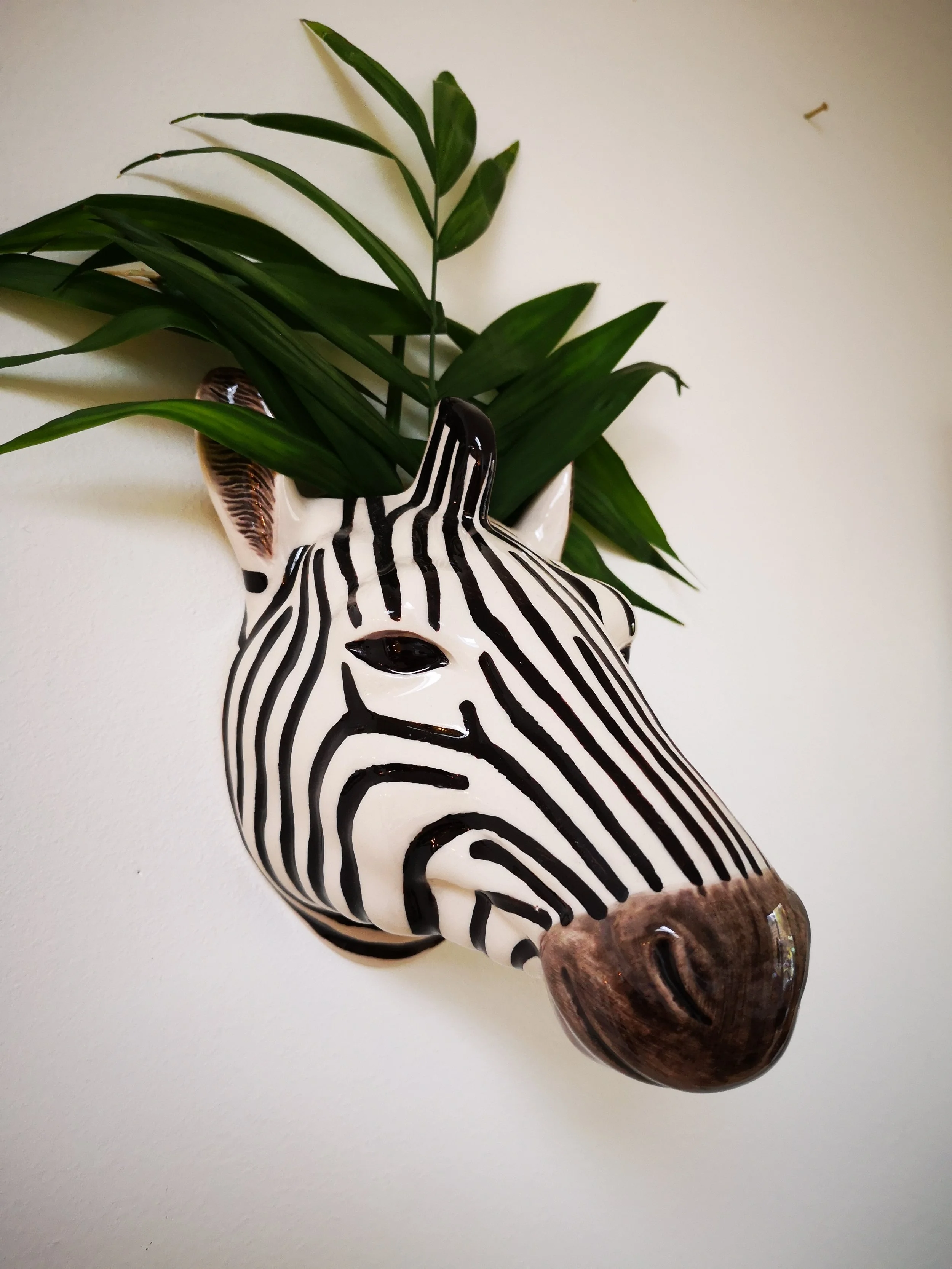 Qual_wandvaas_Zebra_IMG_20181205_105234.jpg