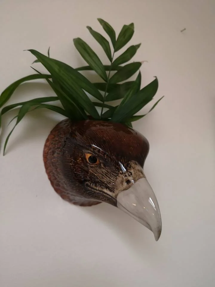 eagle.jpg