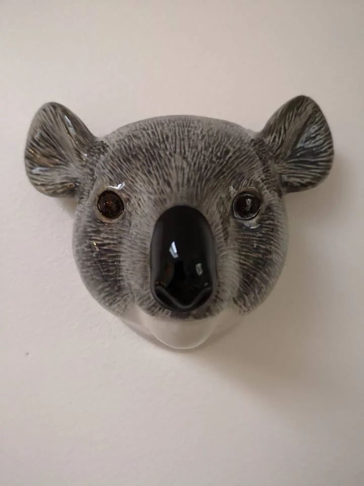 koala.jpg