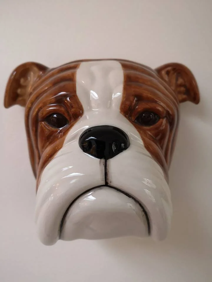dog.jpg