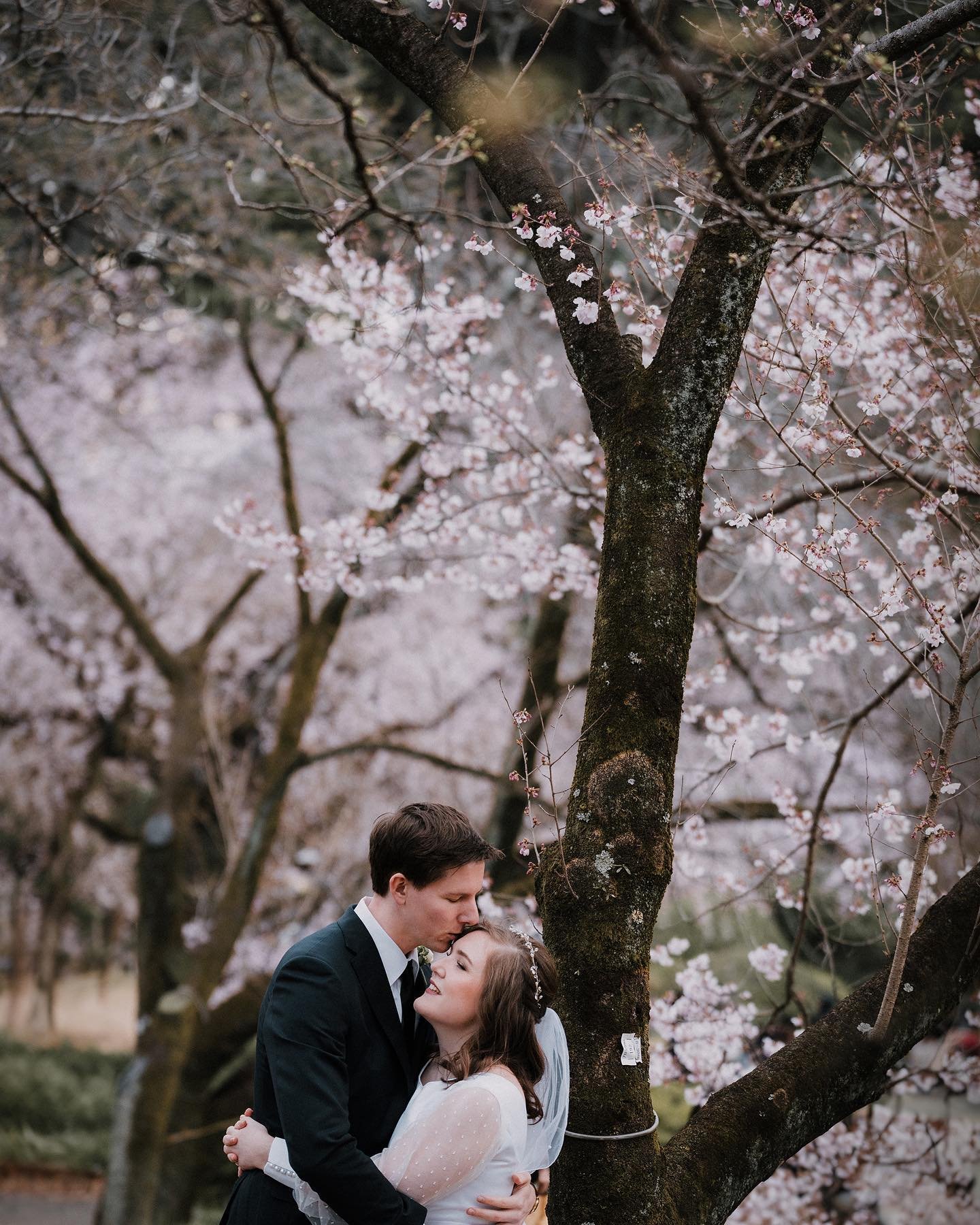 Another beautiful couple who promised their forever in Japan ❤️ I normally would remove crowds but I do love seeing this crowds celebrating cherry blossoms behind them 🌸 so happy for their new chapter in Japan! Huge congrats J&amp;T!! 😘#gomphotogra