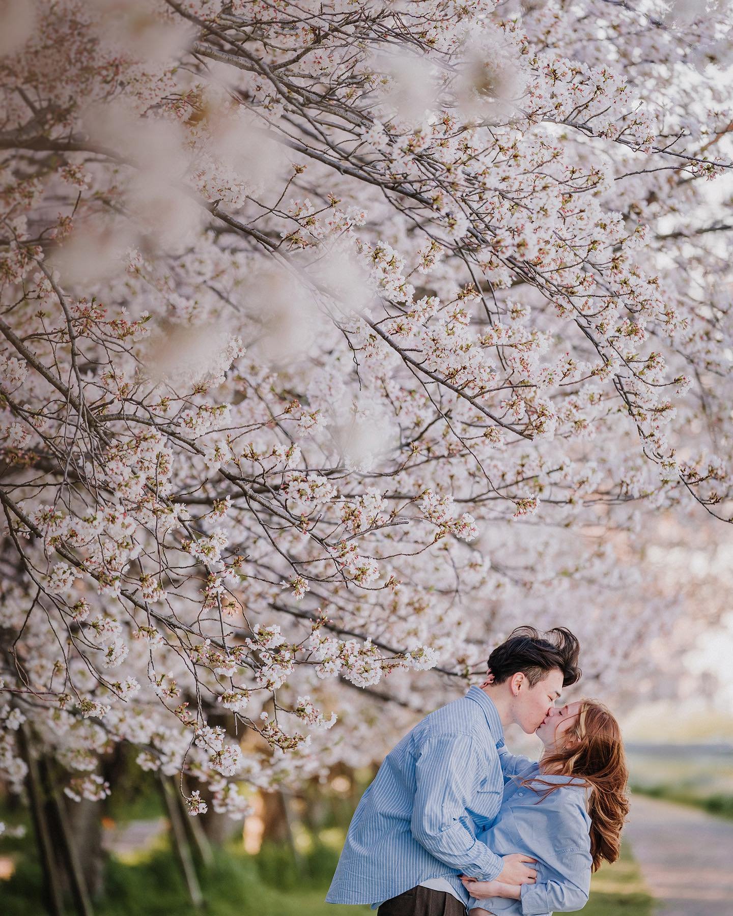 Obsessed how beautiful this engagement session was. Early morning, chilly air, no people around, just 2 lovers surrounded by cherry blossoms and wild flowers celebrating their love and engagement ❤️🌸#gomphotography #tokyophotographer #yokohamaphotog