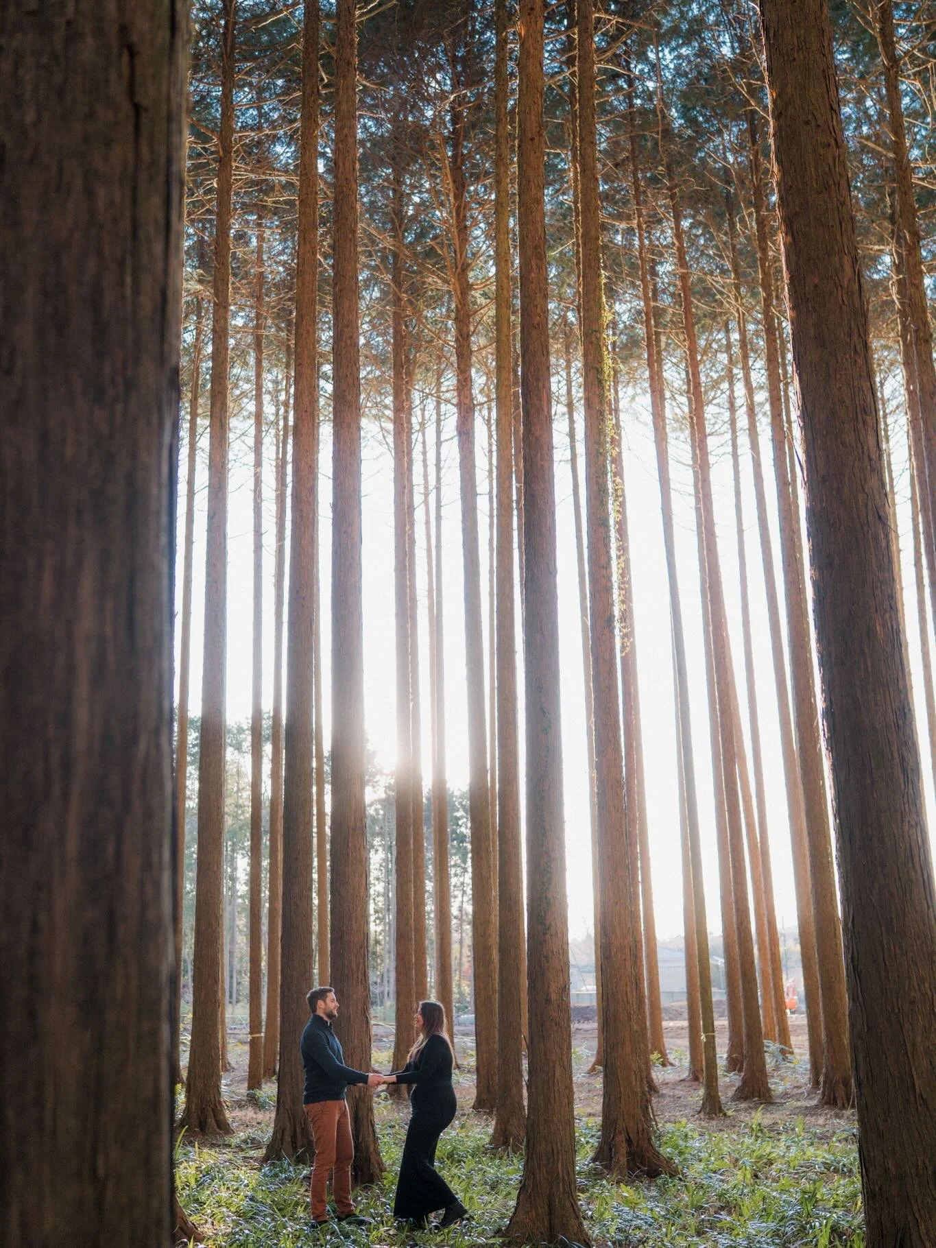 A very emotional but a perfect proposal in Hakone. When my client first contacted me, he was thinking of more well-known spots. But after discussing it more and more, we decided on this hidden gem in Hakone instead. 
Accessible only by car, this spot