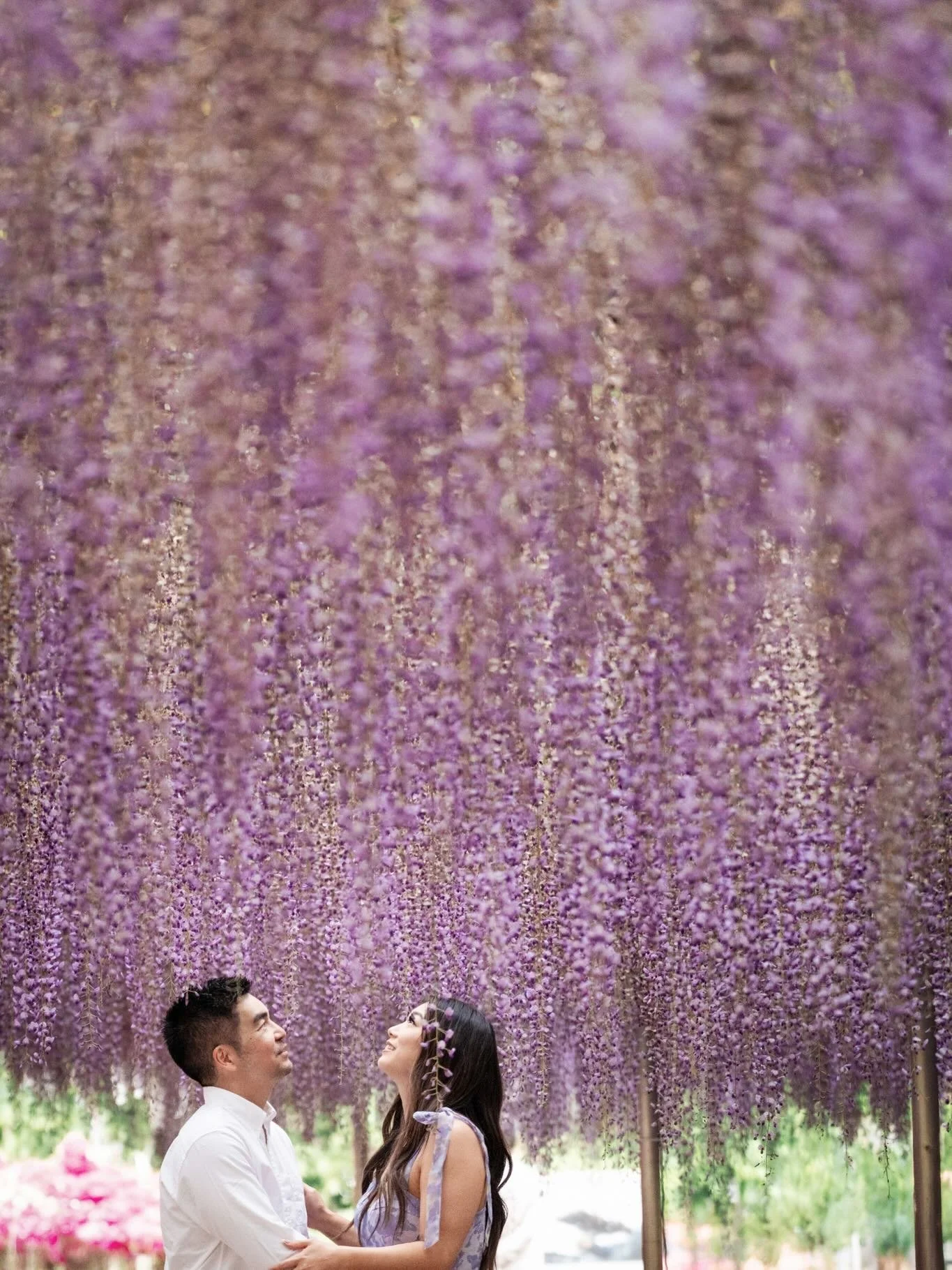 Another dreamy location for my client to celebrate their engagement. Although our session took place after the peak bloom we were still surrounded by endless hues and beauty that nature had to offer. I cannot possibly choose my favorite backdrop from