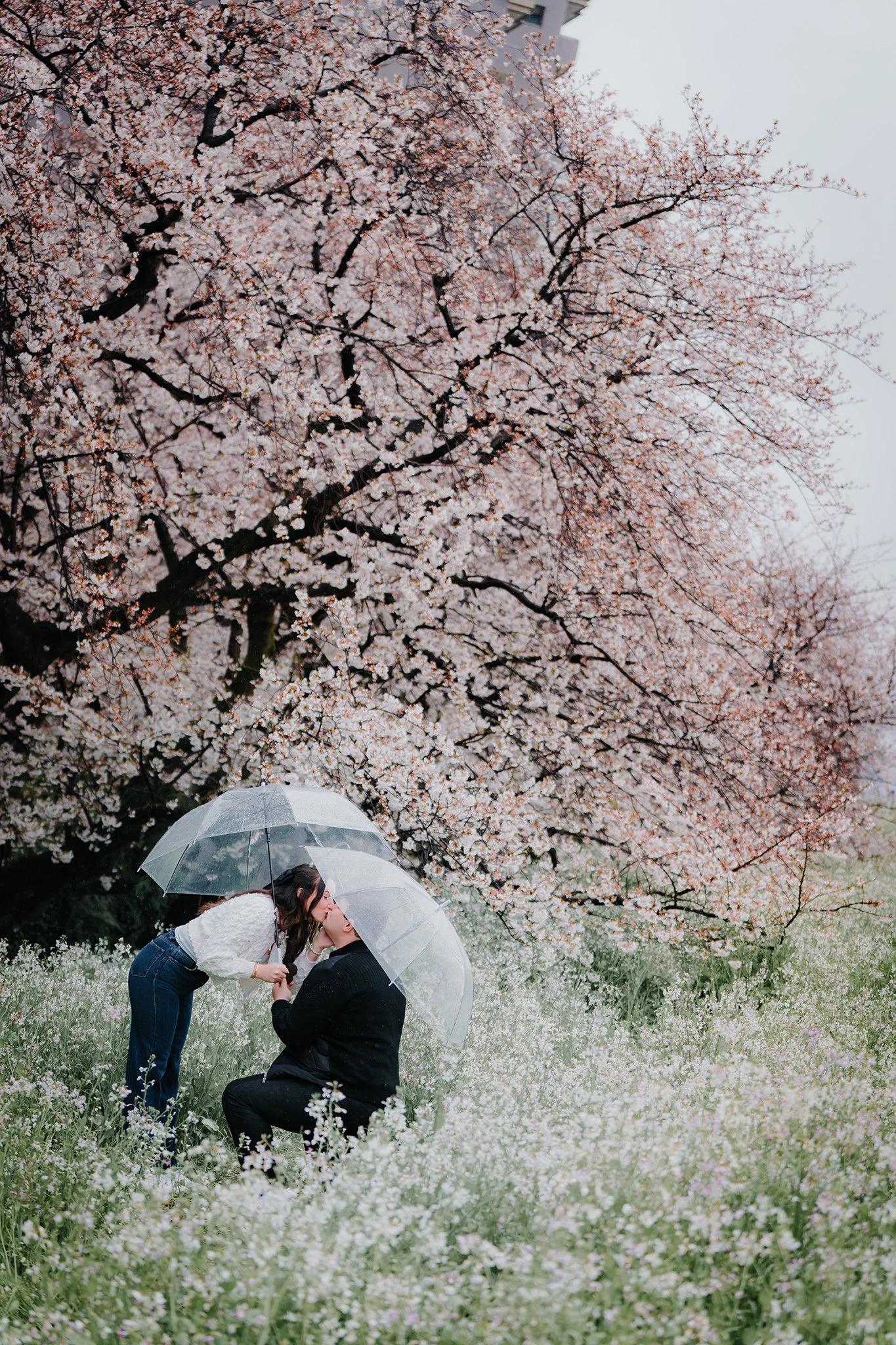 Tokyo proposal photoshoot under cherry blossom 