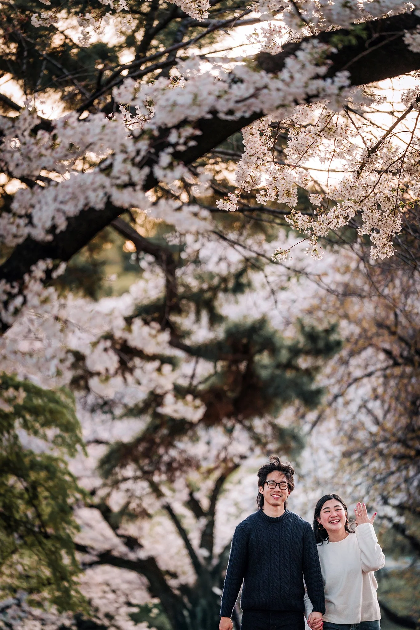 Tokyo engagement photoshoot with cherry blossom 