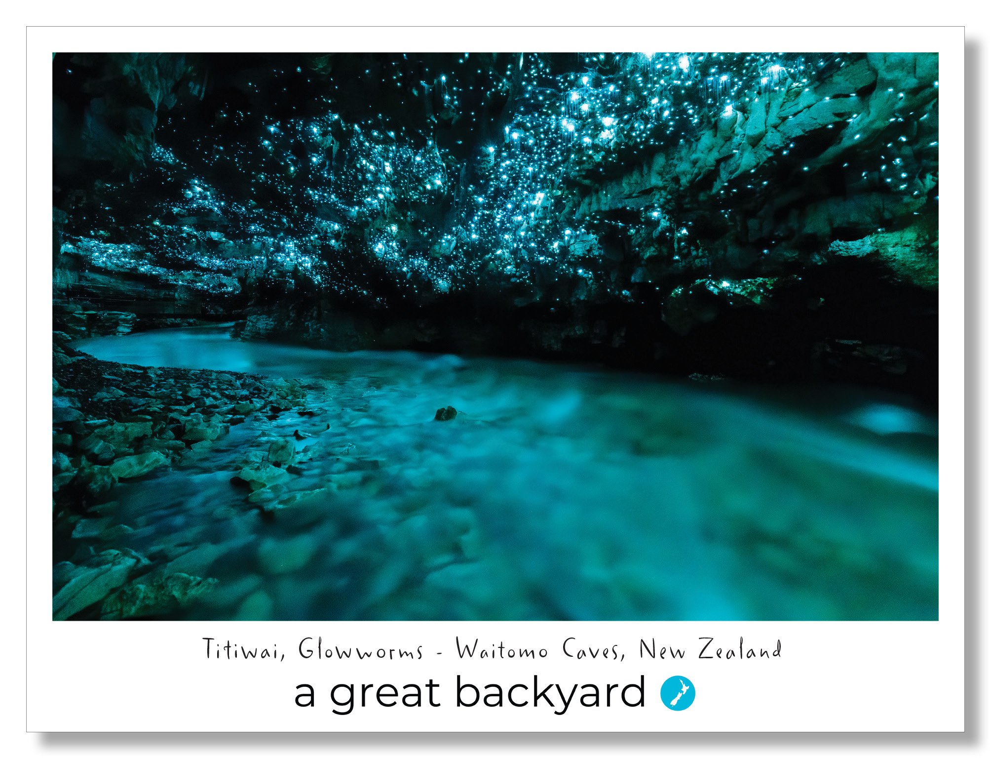 Titiwai Glowworms Postcard