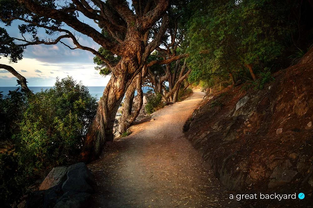Mt Maunganui Path by Corin Walker Bain | a great backyard photography