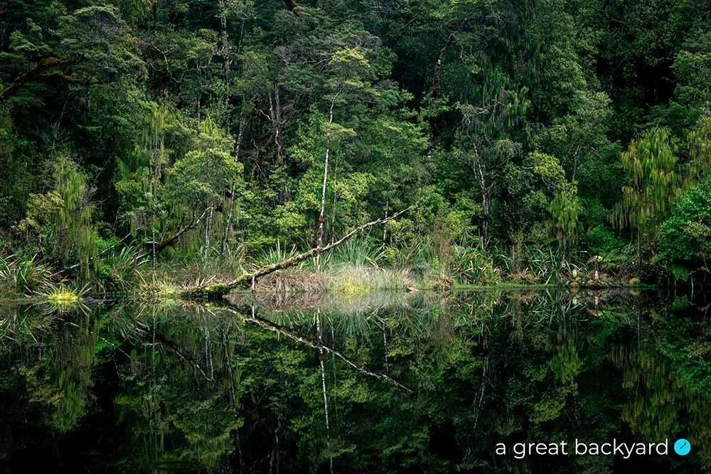 Mirror Tarn detail by Corin Walker Bain | a great backyard epic NZ photography