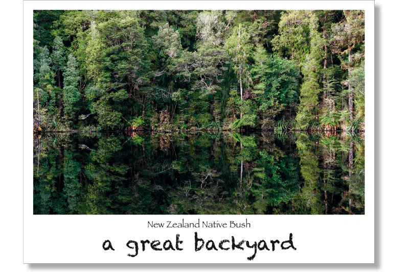 New Zealand Native Bush Postcard by Corin Walker Bain | a great backyard photography NZ