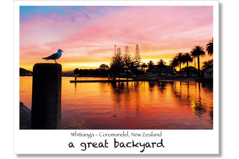 Whitianga Postcard by Corin Walker Bain | a great backyard photography NZ