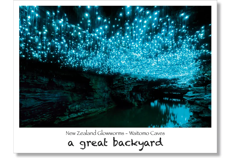 New Zealand Glowworms Postcard by Corin Walker Bain | a great backyard photography NZ