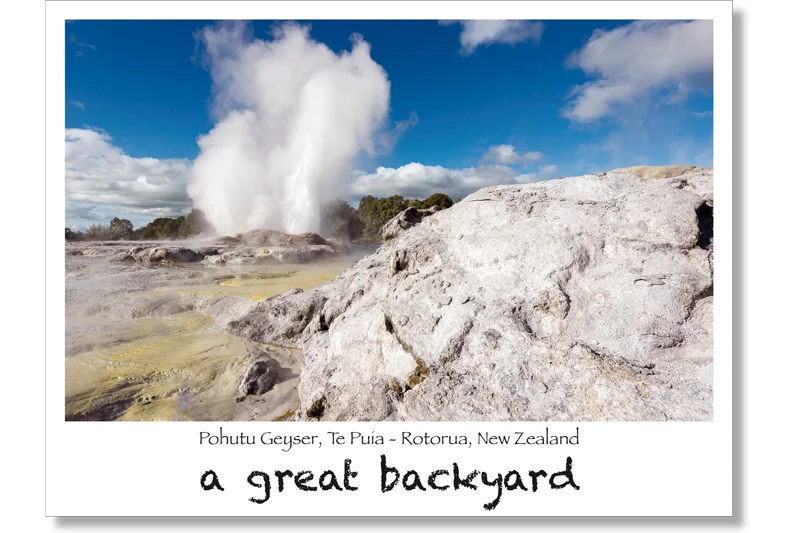 Pōhutu Geyser Postcard by Corin Walker Bain | a great backyard photography