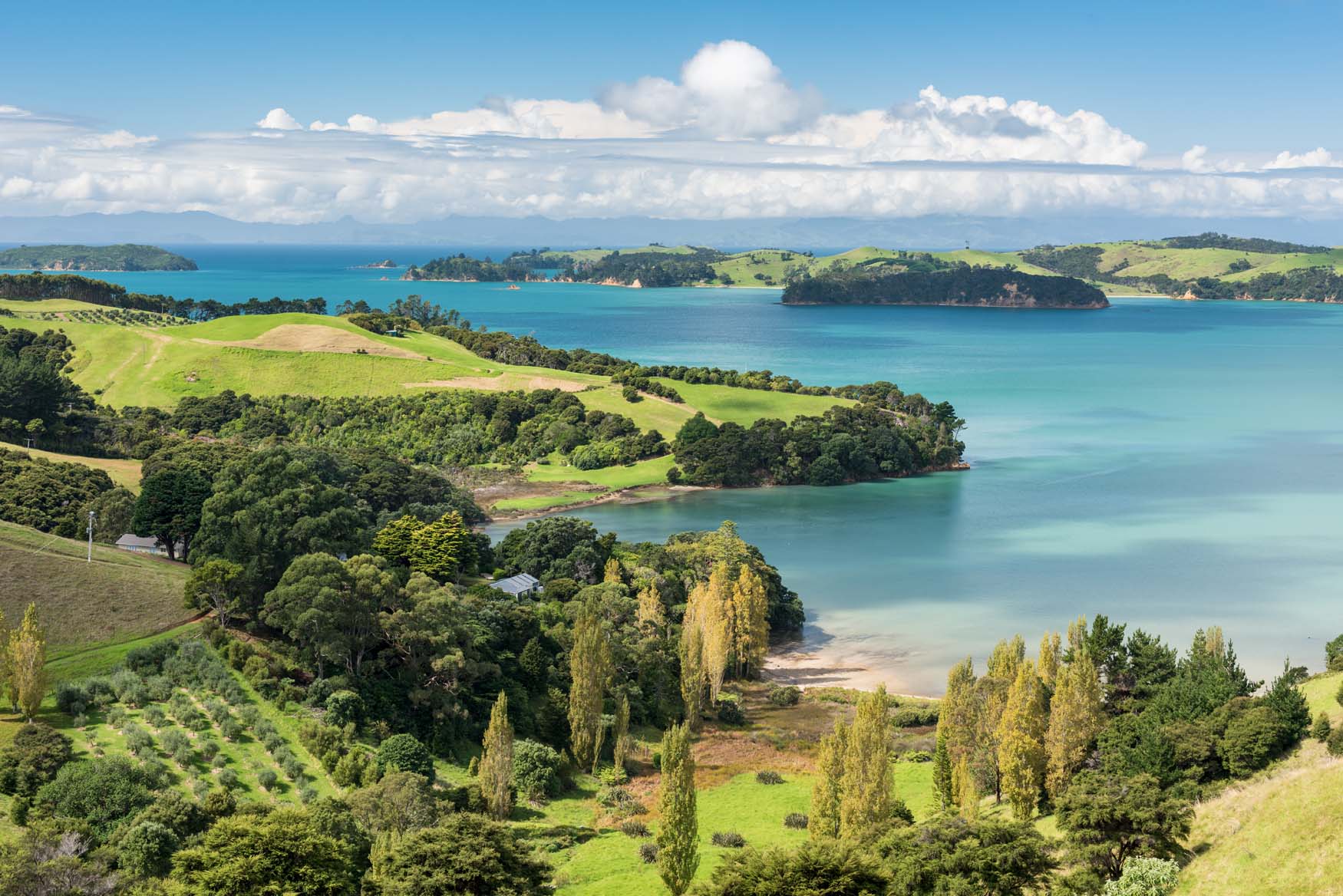 View across bays and beaches of Waiheke Island, Auckland, New Zealand