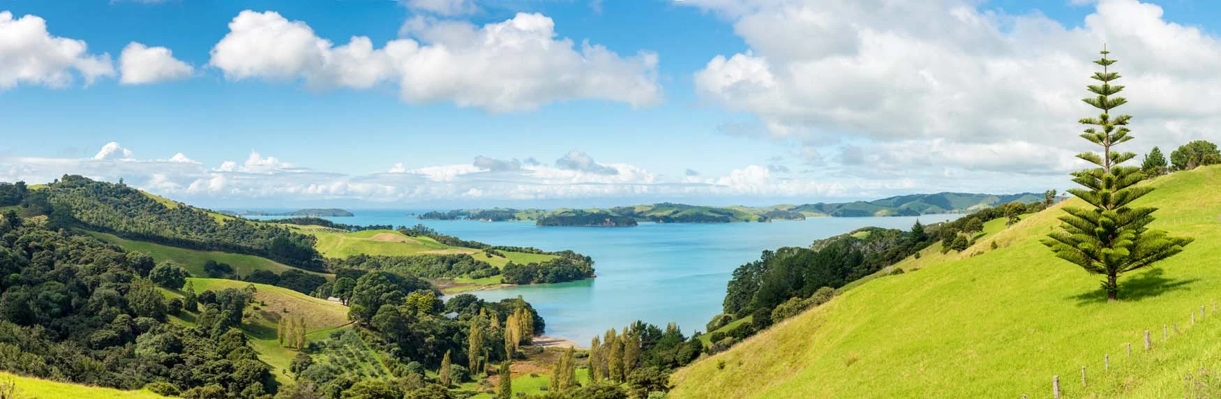 View from Waiheke Island by Corin Walker Bain | a great backyard