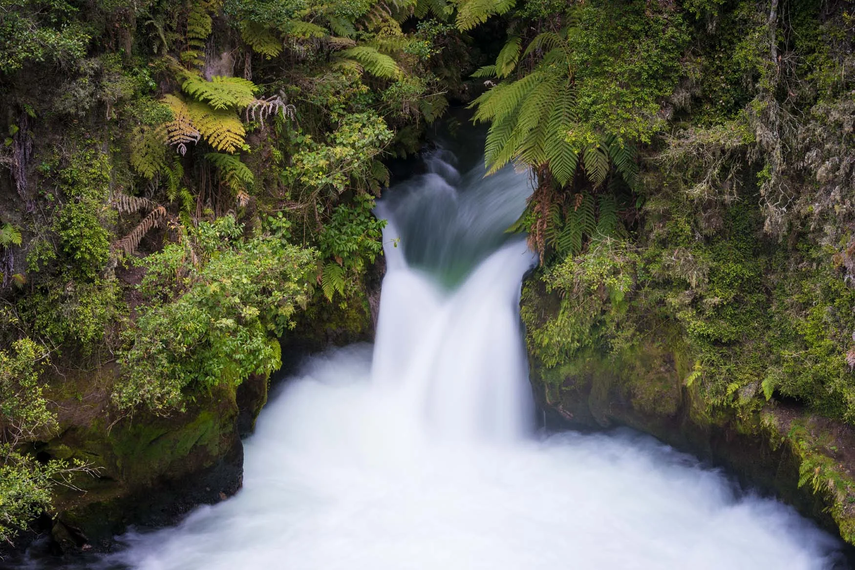 Kaituna 4 (Redone May 2017).jpg