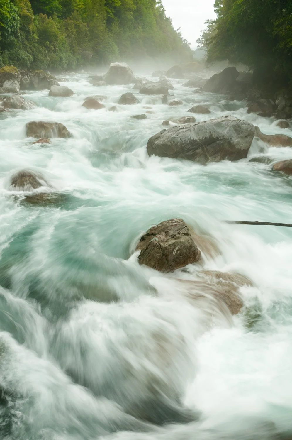 Hollyford River flowing over boulders, Fiordland, New Zealand