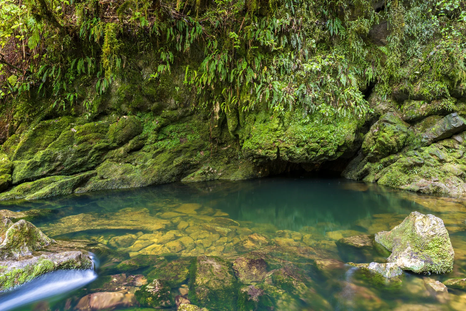 Riwaka Resurgence, Golden Bay, New Zealand