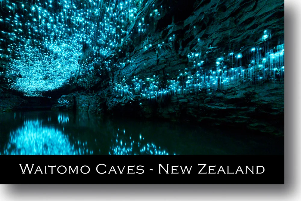 spellbound-glowworms-magnet-waitomo-caves-new-zealand.jpg