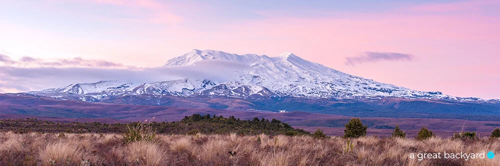 Pink dawn over snow-capped Mt Ruapehu