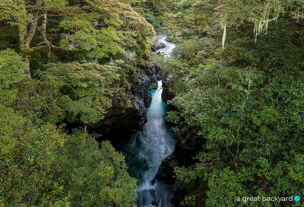 View through trees to Tree Trunk Gorge, Tongariro, New Zealand
