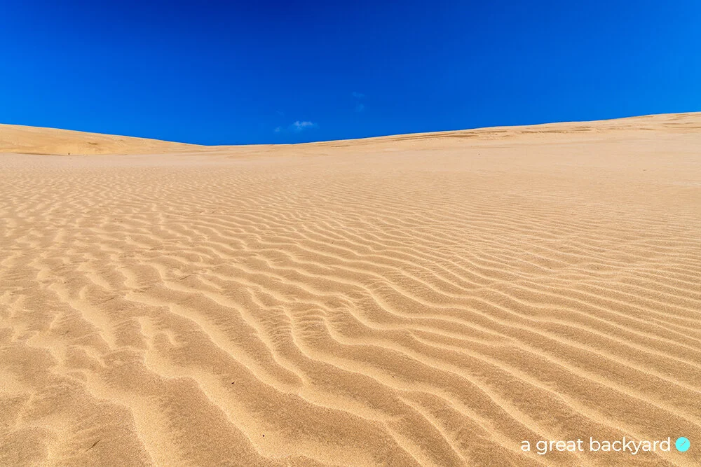 Sand dunes at Te Paki, Northland, New Zealand