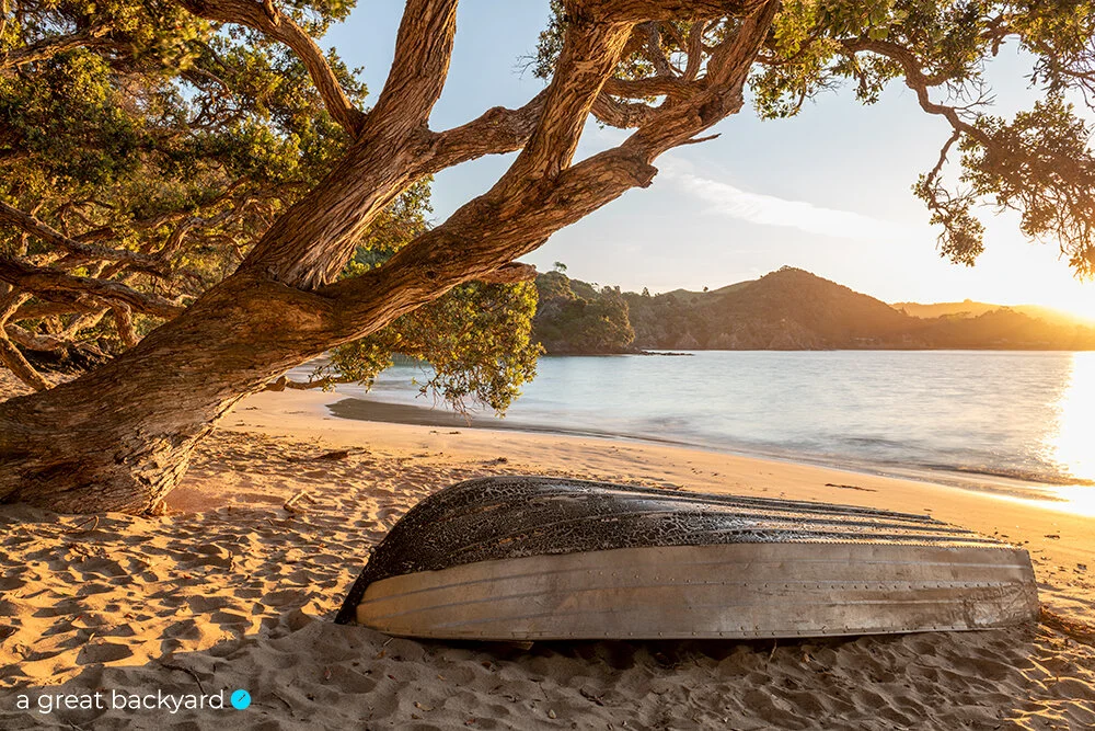 Whale Bay boat by Corin Walker Bain | a great backyard New Zealand photography