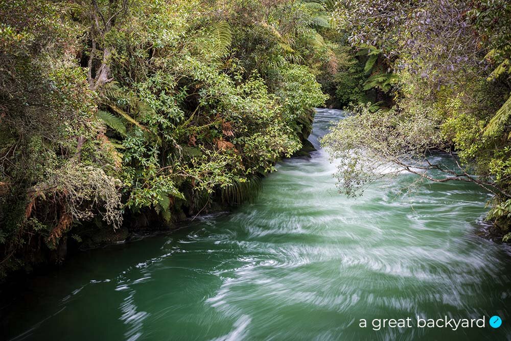 View of Kaituna River, Rotorua, New Zealand