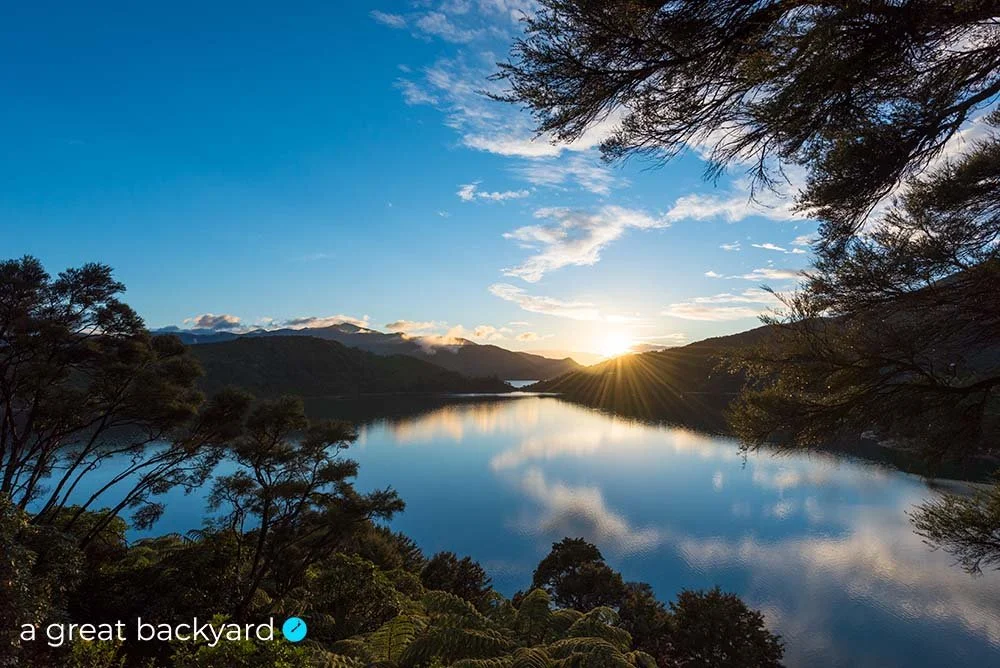 Kenepuru Dawn by Corin Walker Bain | a great backyard New Zealand landscape prints