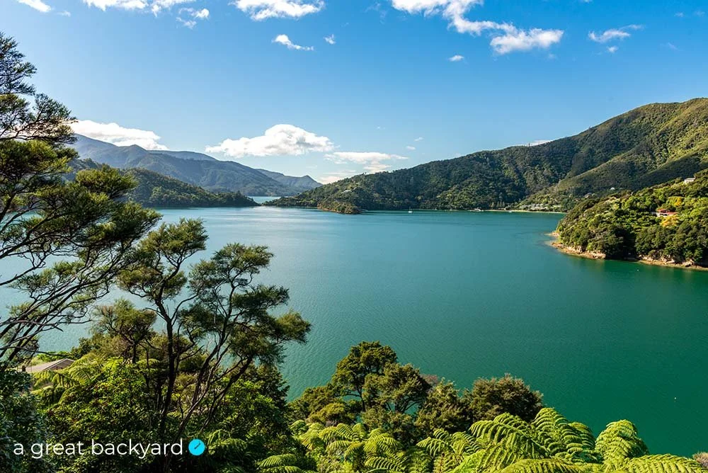Kenepuru Sound Summer by Corin Walker Bain | a great backyard New Zealand landscape photography prints