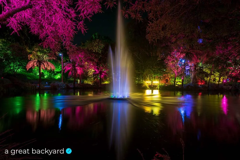 Taranaki Festival of Lights fountain by Corin Walker Bain | a great backyard print & design studio