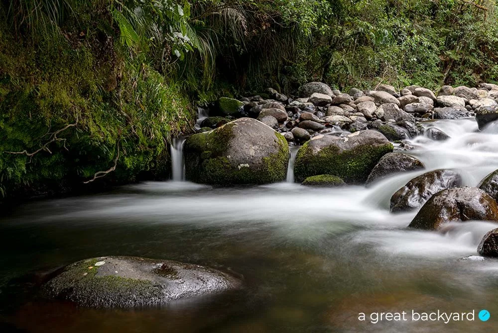 Stream tumbling over boulders, Pirongia, New Zealand