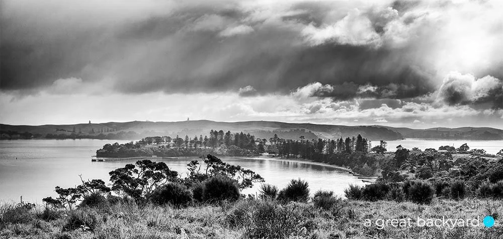 Motuihe Island by Corin Walker Bain | a great backyard photography