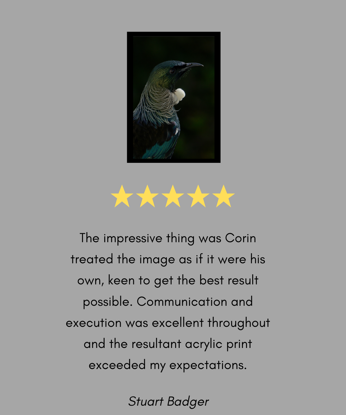 a great backyard printing & photography review 6.png