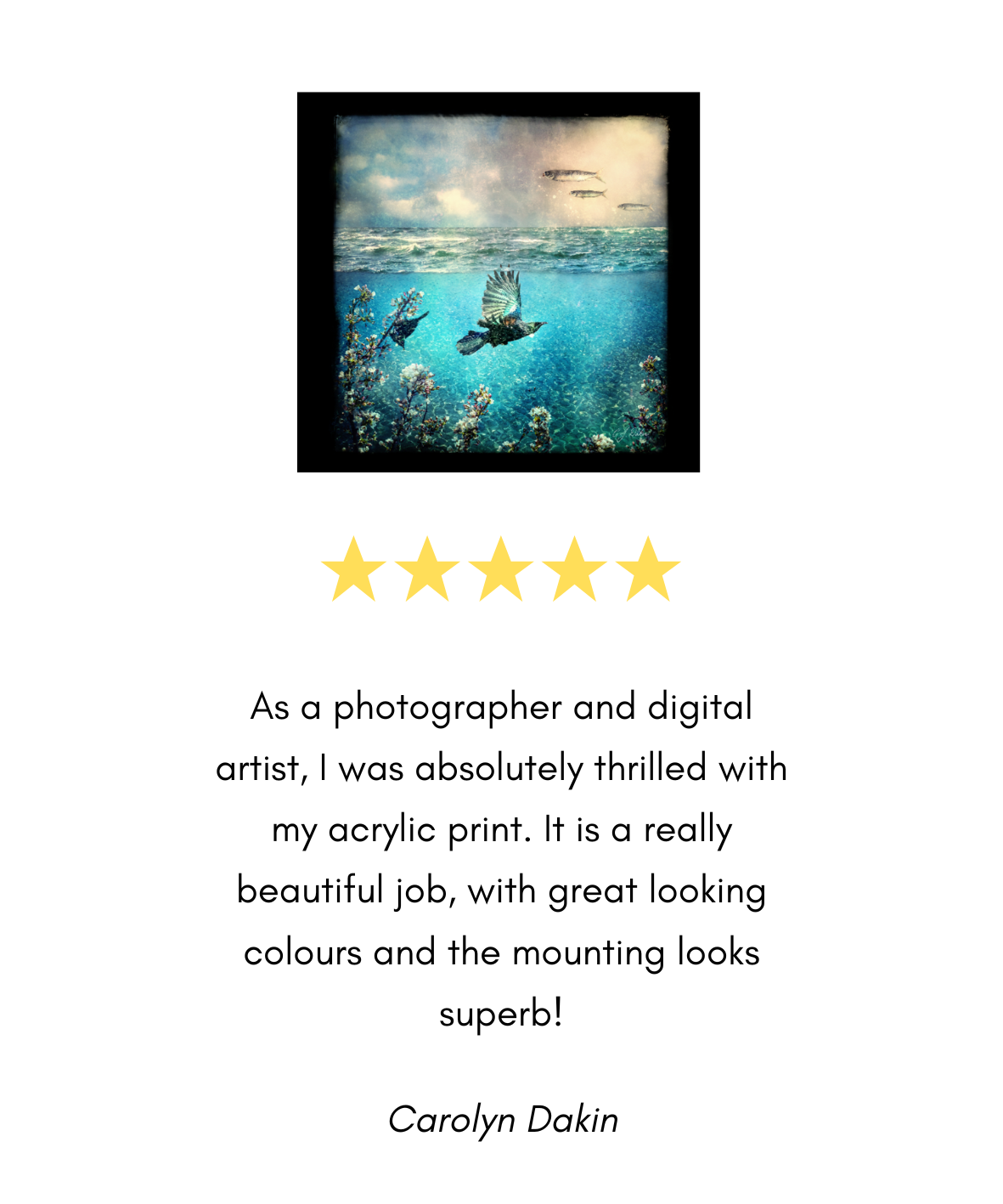 a great backyard printing & photography review 7.png