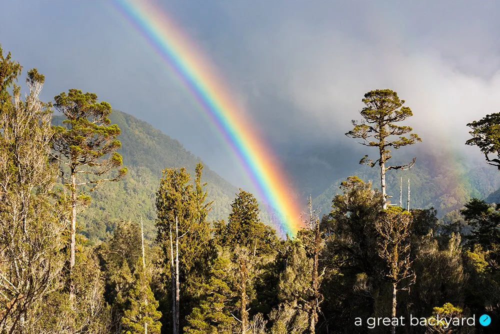 West Coast Rainbow, New Zealand