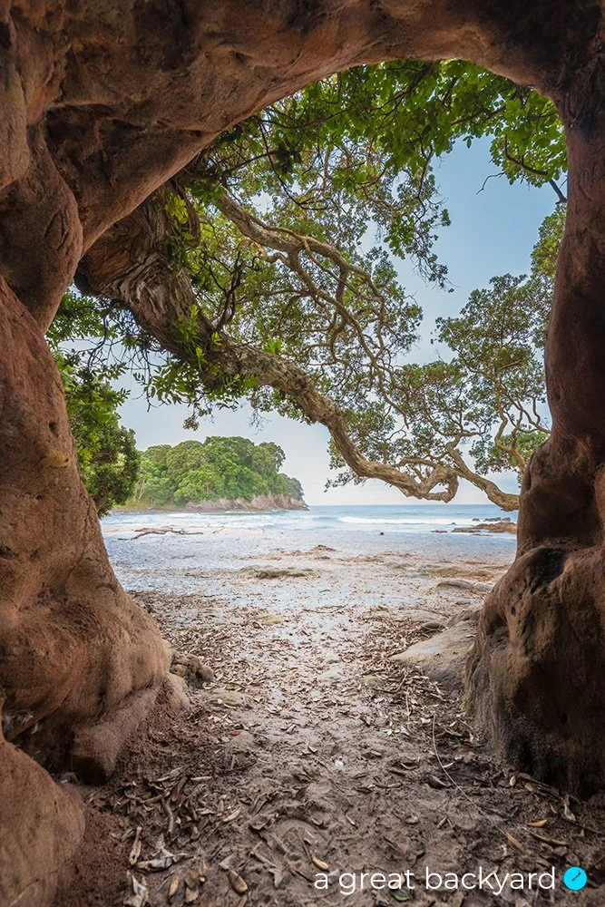 View through Waimana Bay archway to beach beyond by Corin Walker Bain | a great backyard