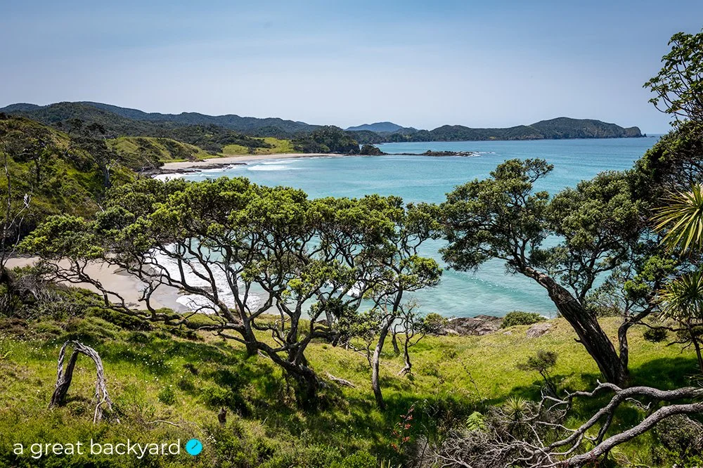 View across pohutukawa trees to beach at Elliot Bay, Northland, New Zealand