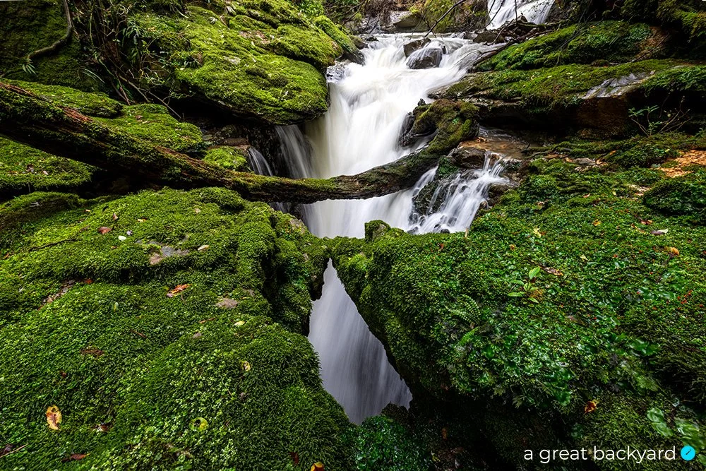 Waitomo Waterfall 2023.jpg