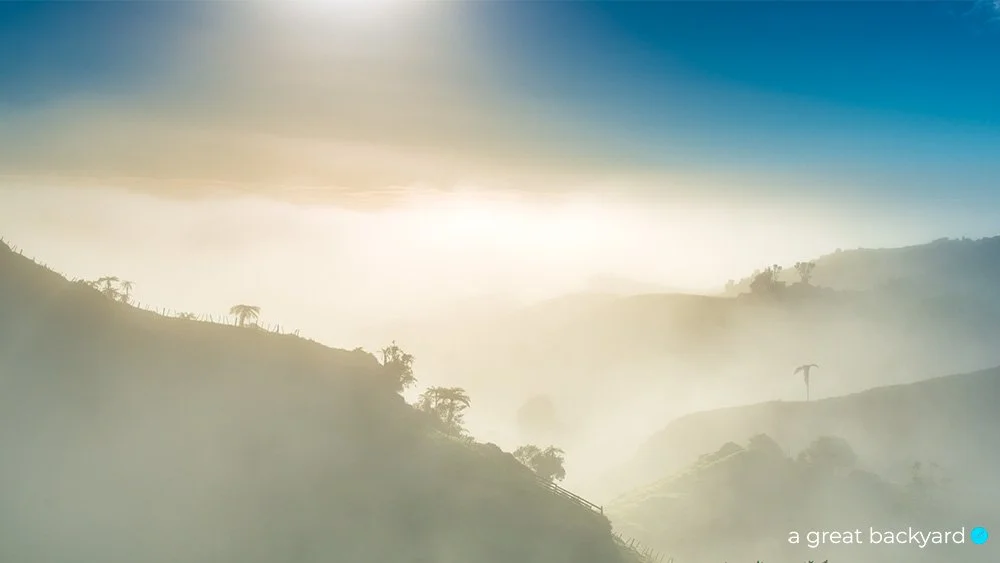 High Country Mist, Waitomo Caves, New Zealand
