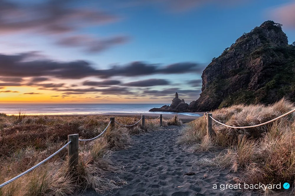 View down path to beach at sunset, Piha, Auckland