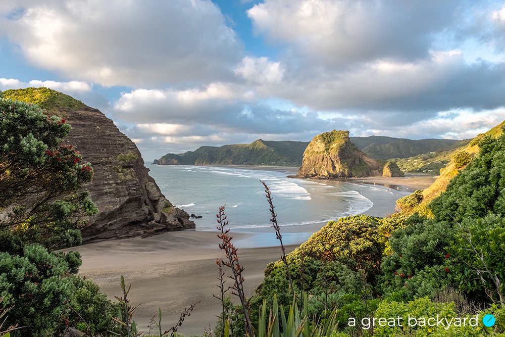 View across cliffs and trees of Piha to beach below, Auckland, New Zealand